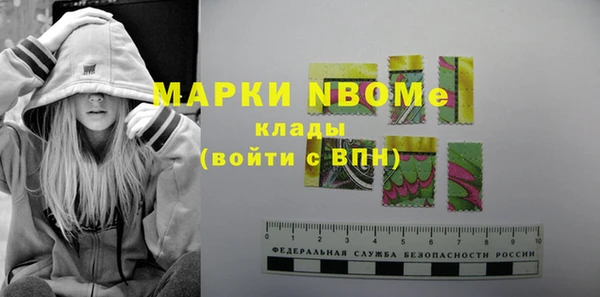 хмурый Верея