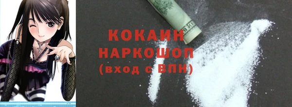 шишки Богородск