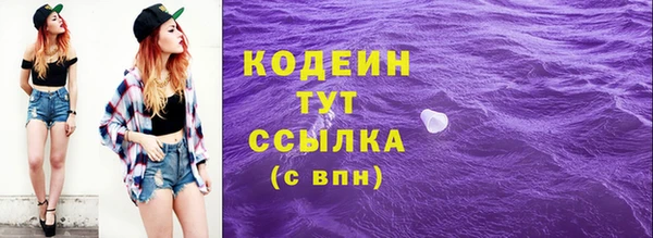 прущий лед Богородицк