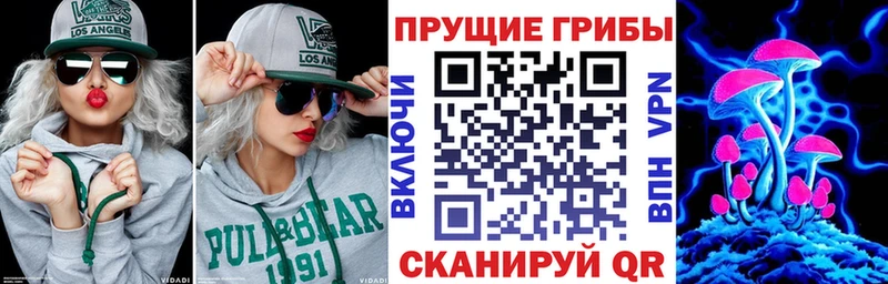 Псилоцибиновые грибы Cubensis  Дмитриев 