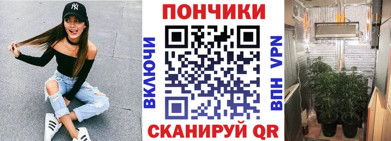 Бошки Шишки план  даркнет какой сайт  Дмитриев 
